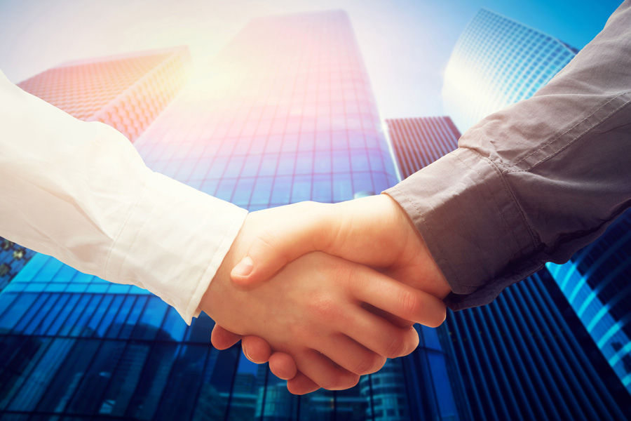 上海股權(quán)糾紛律師視角下的謝某某訴張某某、某某公司股權(quán)糾紛案