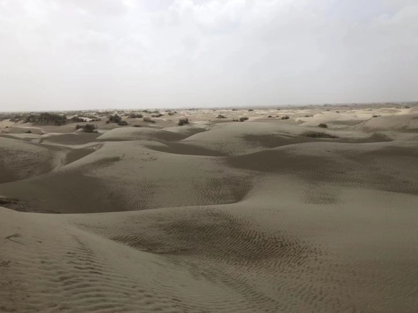 孩子遇到家庭暴力可以通過哪些方式解決？上?；橐黾彝ヂ蓭煘槟榻B