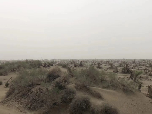 立遺囑時，見證人有什么要求嗎？上海律師事務所：必須符合這些