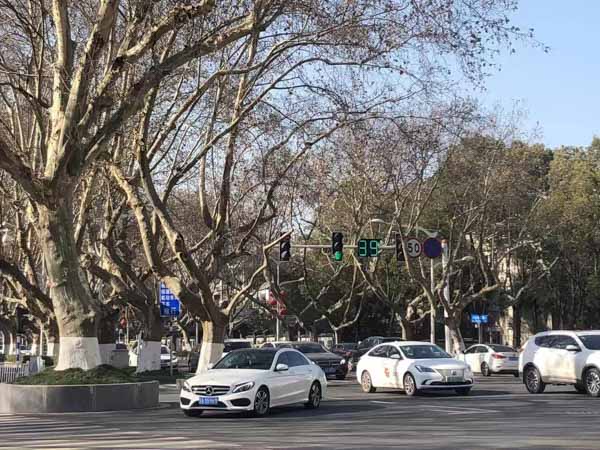 松江區(qū)律師在線教你：如何識(shí)別假藥、劣質(zhì)藥