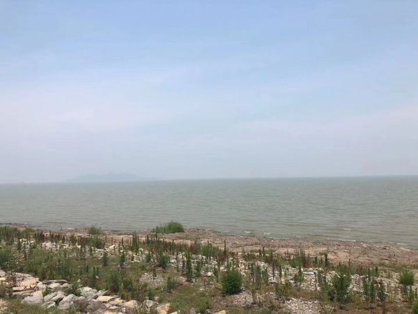 浦東區(qū)律師為您講解偽造公司印章詐騙定一罪還是數(shù)罪