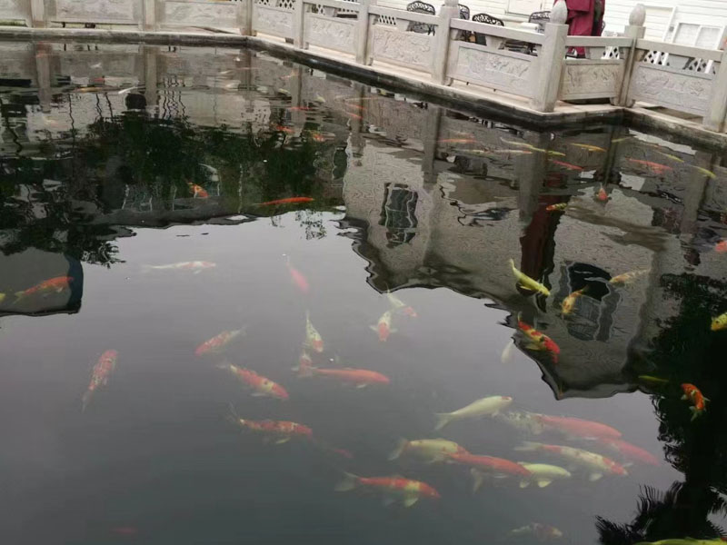 黃浦律師今天帶來(lái)的是：醫(yī)療中最常見(jiàn)的—非法行醫(yī)罪