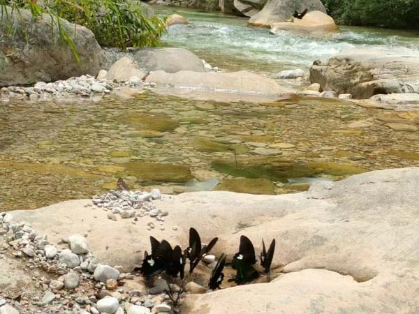 閔行律師詳細(xì)分析：哪些問(wèn)題原因會(huì)導(dǎo)致遺囑無(wú)效