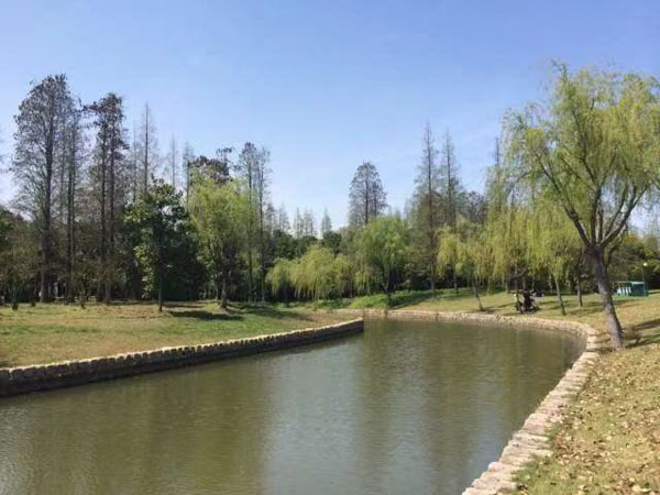 如何發(fā)揮死緩制度限制死刑的作用？上海律師為您解答