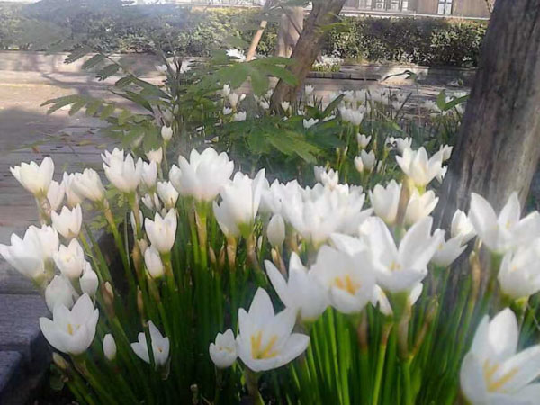 上海律師咨詢來講講如何設(shè)立一份既方便又有效的遺囑