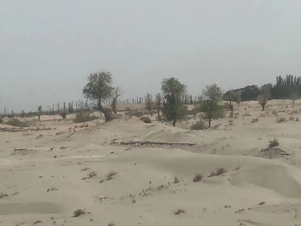 奉賢區(qū)律師講解拒不執(zhí)行判決罪與妨礙公務(wù)罪的界限