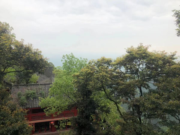 上海專業(yè)刑事律師分享會(huì)面過程經(jīng)驗(yàn)