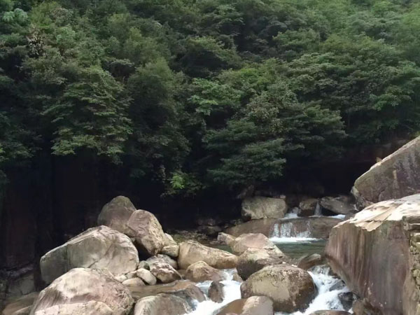 上海專業(yè)刑事律師談最新貪污罪是如何判定的