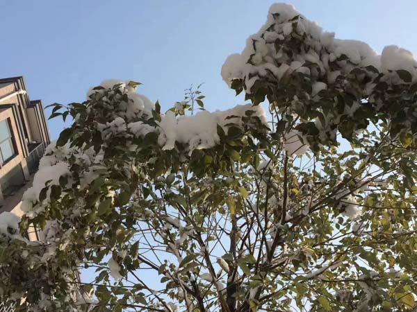 黃浦區(qū)律師提醒:在處理親子關(guān)系異議時(shí)應(yīng)注意這幾個(gè)問題