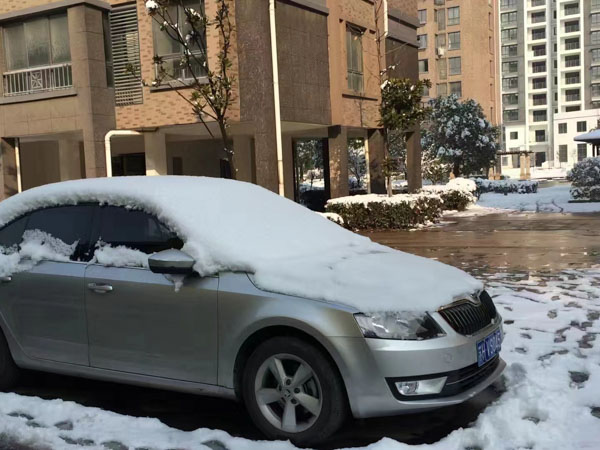 投保人死亡可以全額退保嗎?寶山區(qū)律師:這三種情況下可以