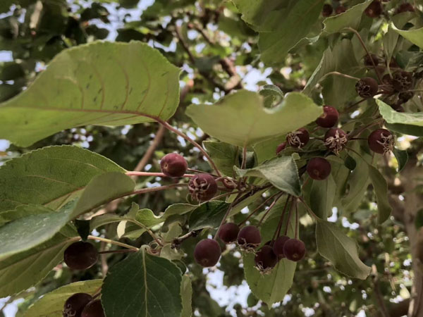 虹口律師為您講解高息借貸行為是否屬于非法經(jīng)營(yíng)