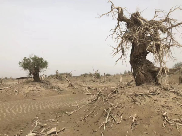 上海離婚著名律師來講講離婚損害賠償責任主體的確定