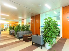 靜安西康路律師談新業(yè)態(tài)從業(yè)者工傷保險范疇