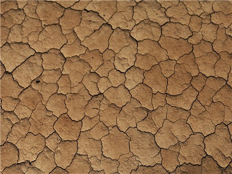 物業(yè)承擔賠償財產(chǎn)被盜責任的情況