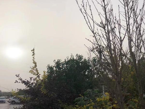 處理交通事故的時(shí)間多久？靜安律師今日為您解答