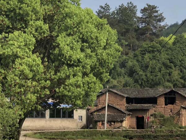 上海繼承律師回答繼承協(xié)議如何來(lái)公證