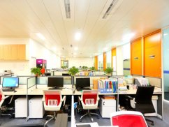 <b>虹口律師視角下行政處罰不交的應(yīng)對(duì)之策</b>