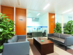 <b>上海訴訟律師視角下“在哪個法院都可以起訴嗎”的深度剖析</b>